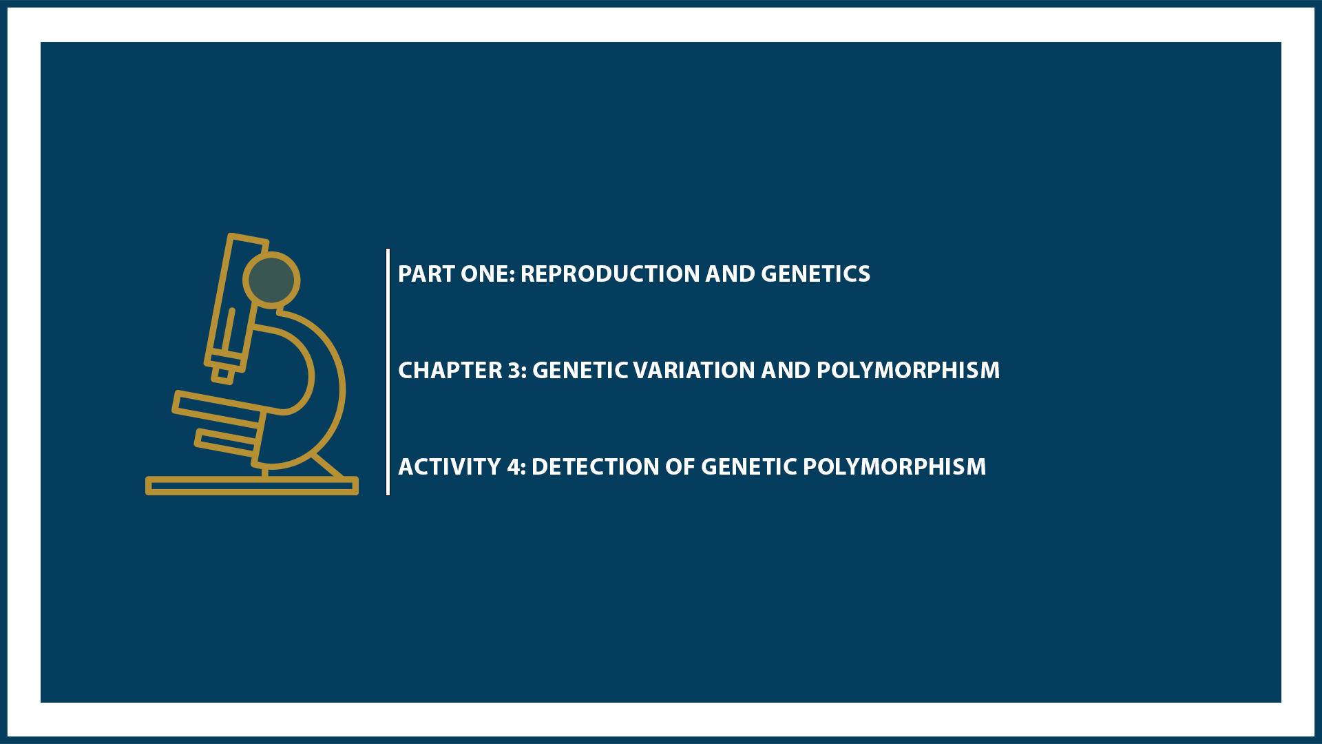 Unit One: Chapter 3 - Document 4: Detection of genetic polymorphism